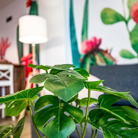 Enjoythemoment Sotavento