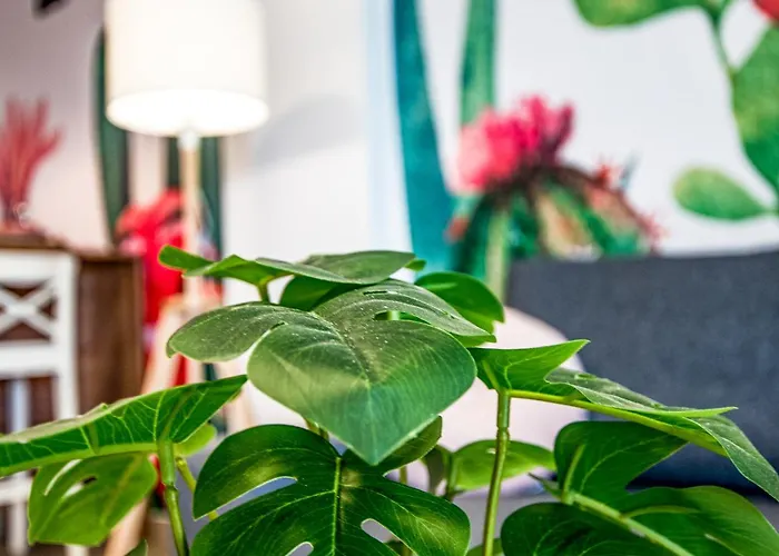 Enjoythemoment Sotavento